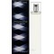 Elizabeth Arden Provocative EDP, femei